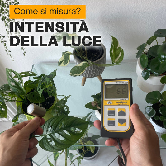 Come misuriamo la luce?