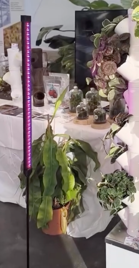 Alrami lampada verticale