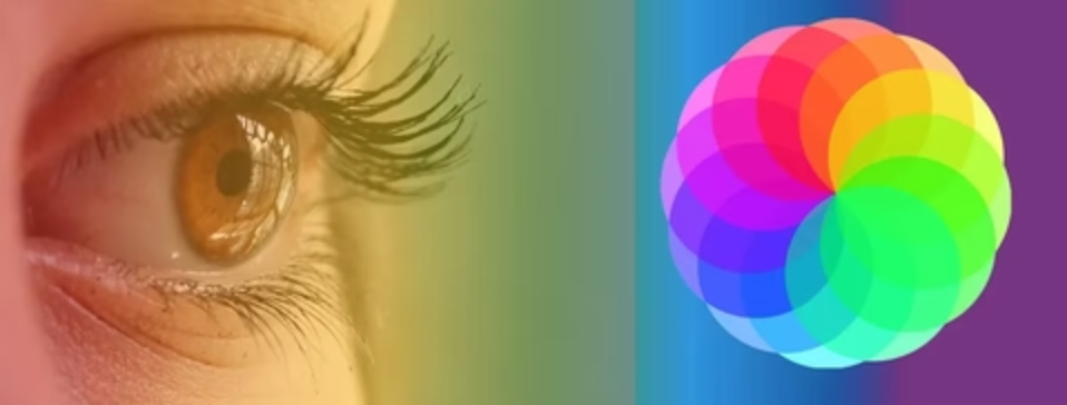 Come percepisce la luce l'occhio umano?